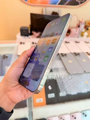 Apple iPhone 15 Pro Max 256 GB Silver
