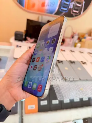 Apple iPhone 15 Pro Max 256 GB Silver