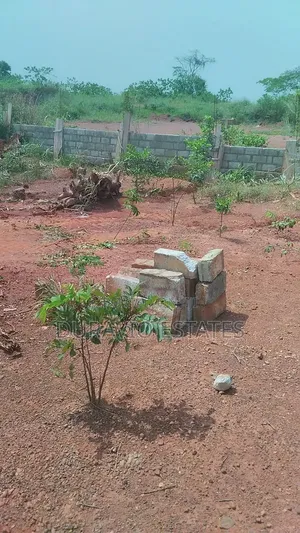 Full Plot at Atwima Twedie