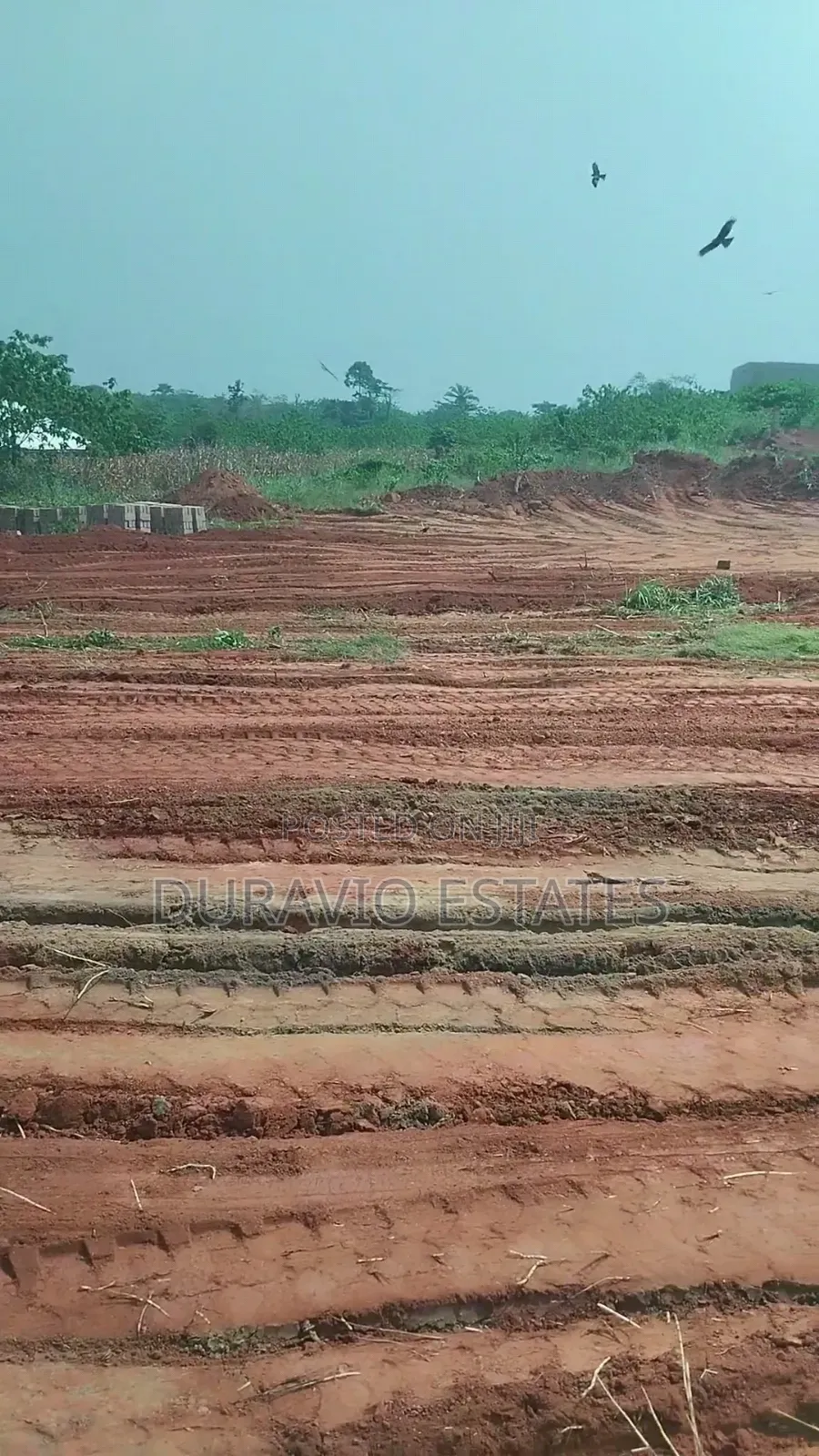 Full Plot at Atwima Twedie