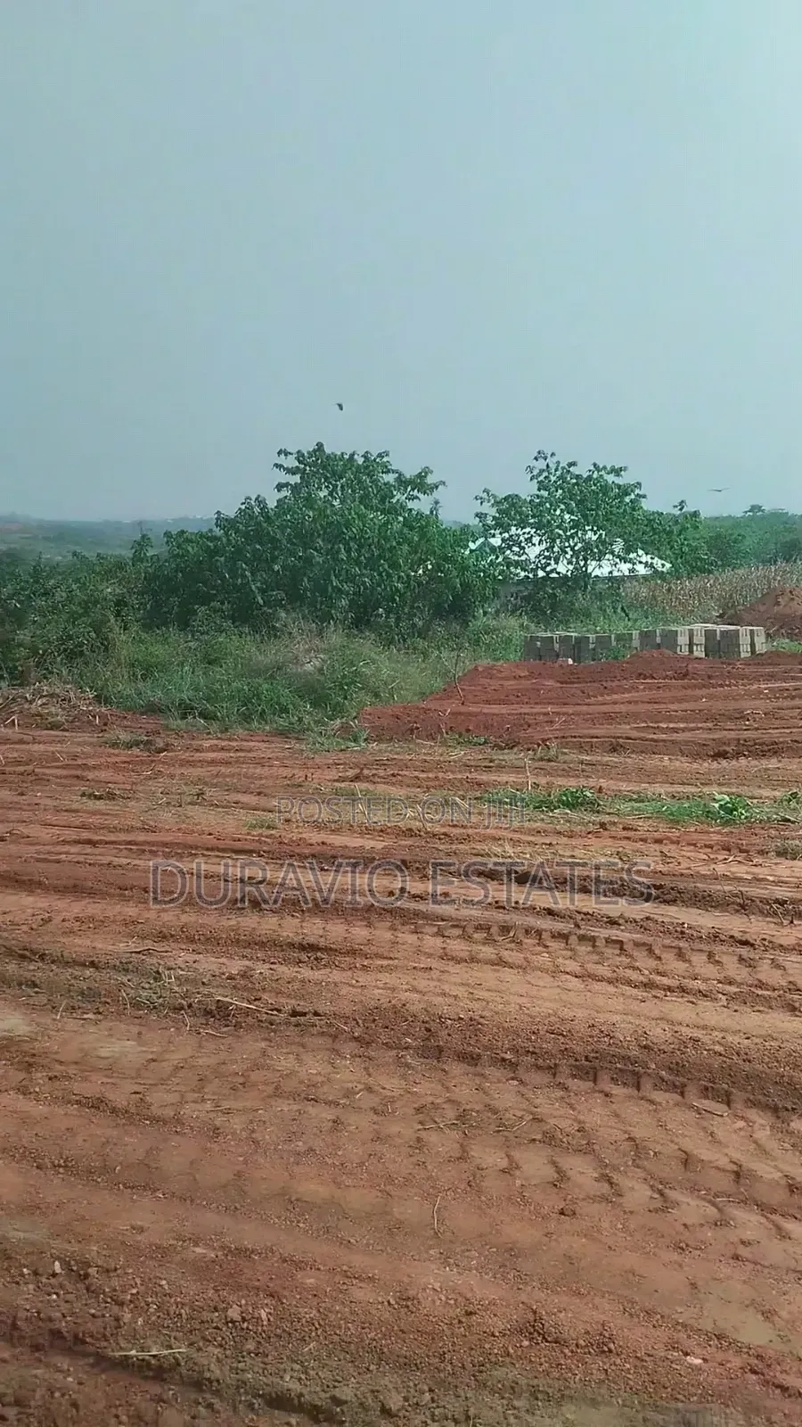 Full Plot at Atwima Twedie