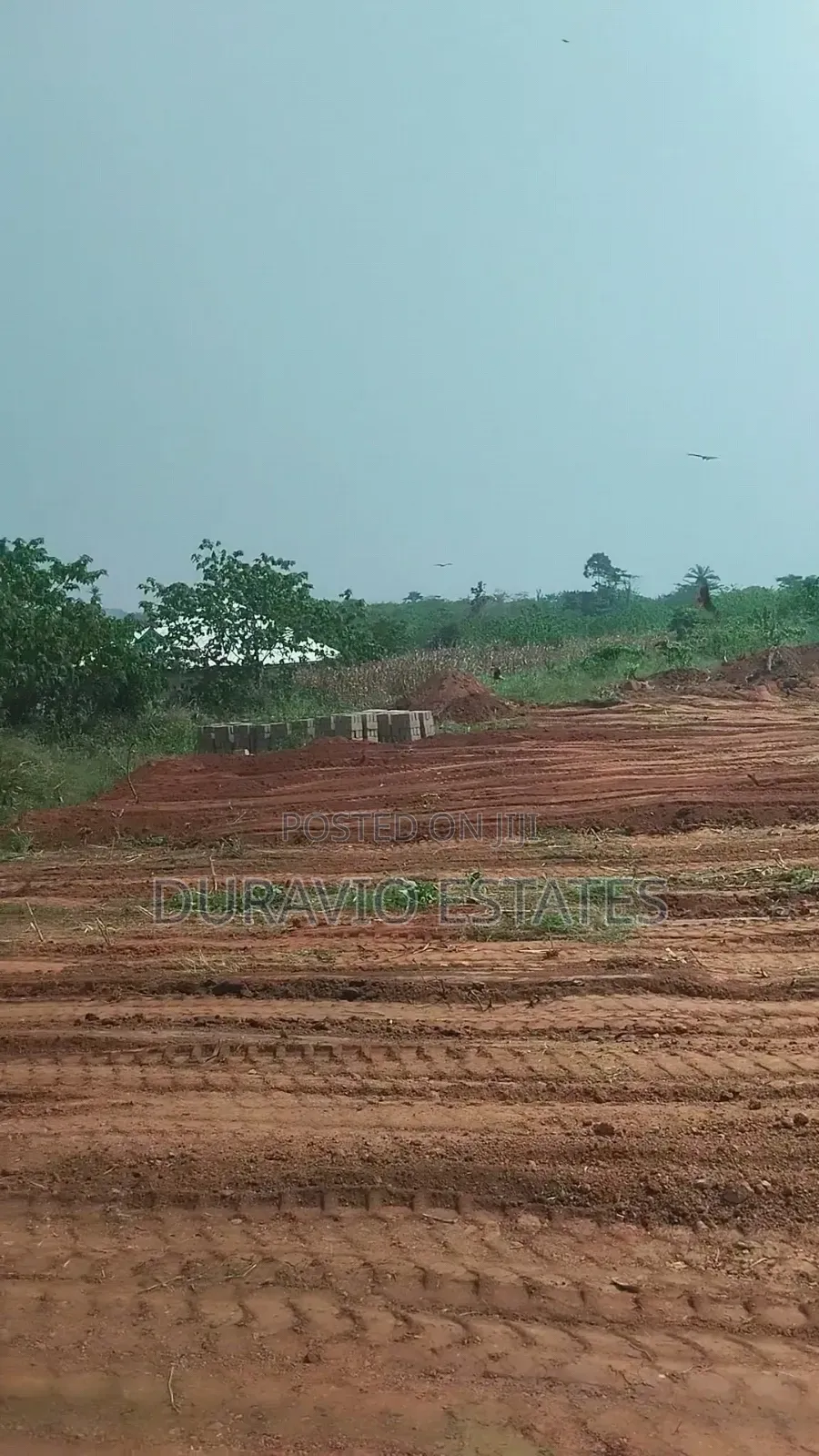 Full Plot at Atwima Twedie