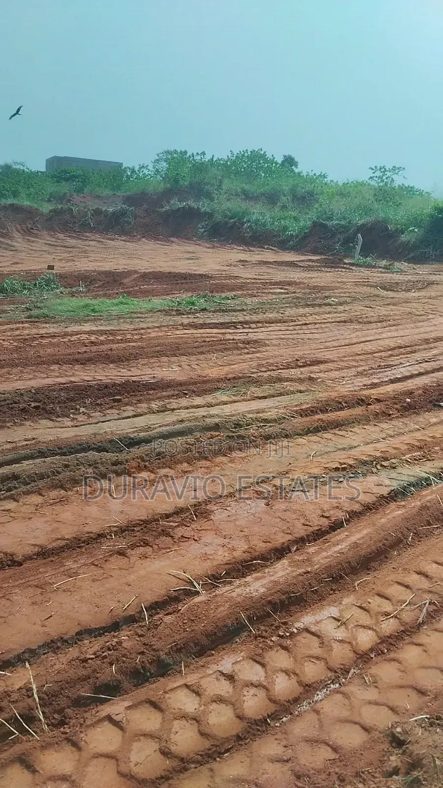 Full Plot at Atwima Twedie