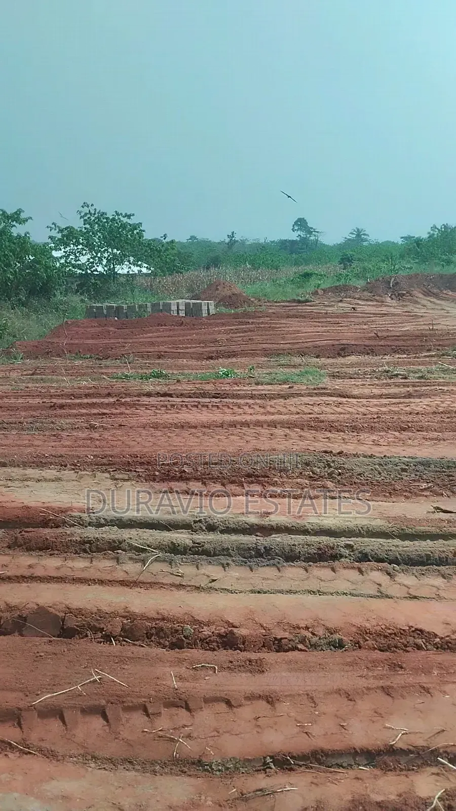 Full Plot at Atwima Twedie
