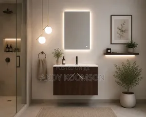 Professional Plumber