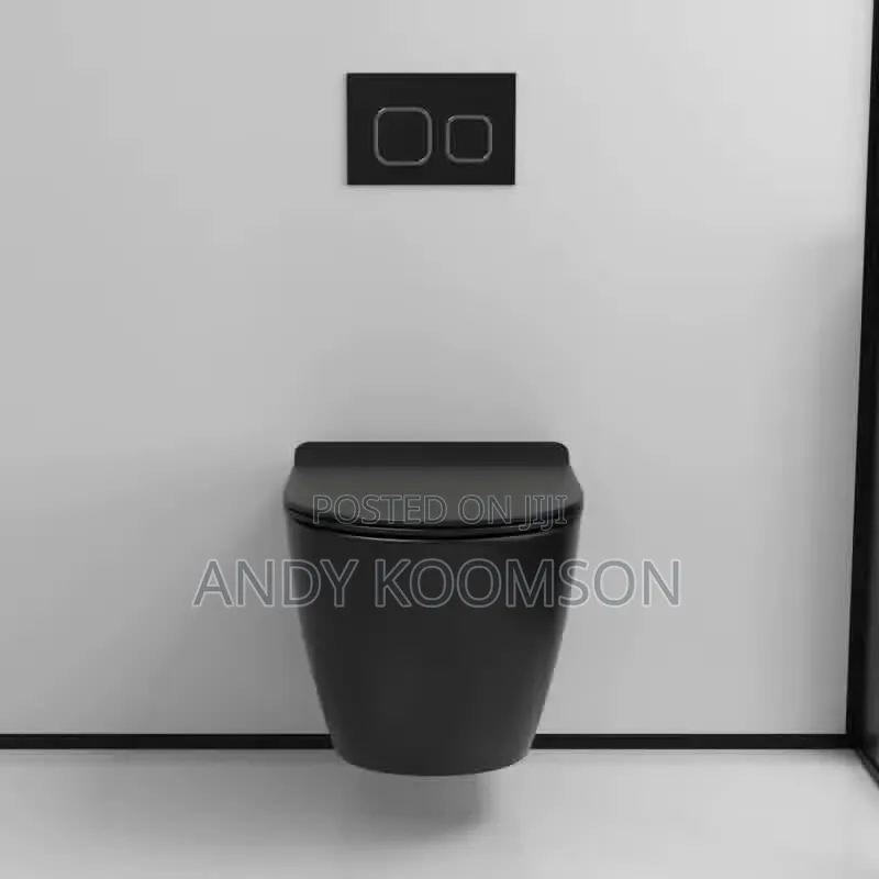 Professional Plumber
