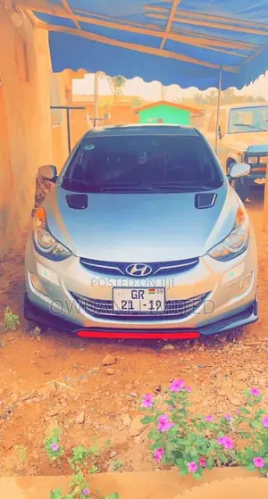 Universal Bumper Lip