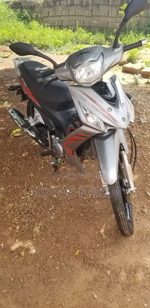 Motorcycle 2025 Silver