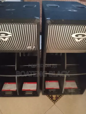 21' Cerwin Vega Speaker