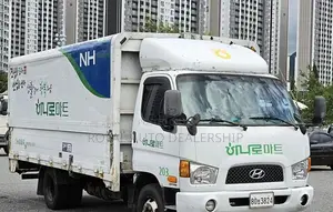 Hyundai E-Mighty Wingbody 3.5 Ton 2006