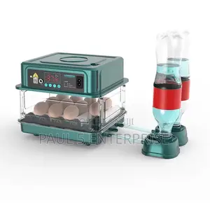 Wholesale and Retail 30eggs Incubator Fully Automated Dual Power
