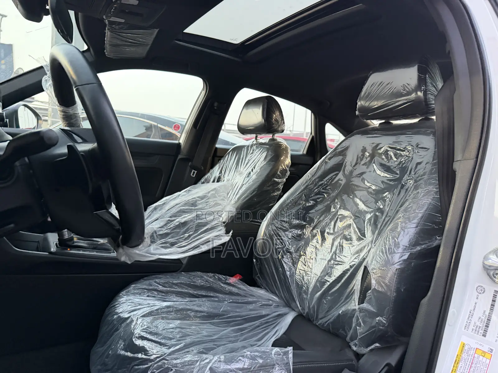 Honda Civic Sport Manual 2024 White