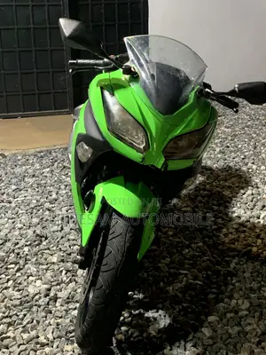 Kawasaki Ninja 300 2017 Green