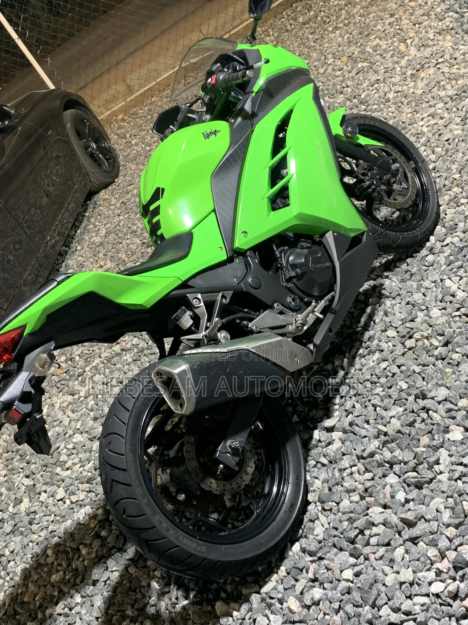 Kawasaki Ninja 300 2017 Green