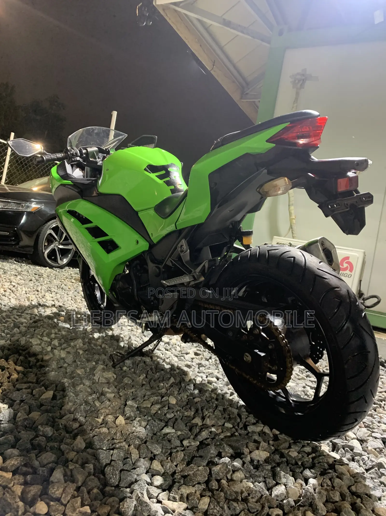 Kawasaki Ninja 300 2017 Green