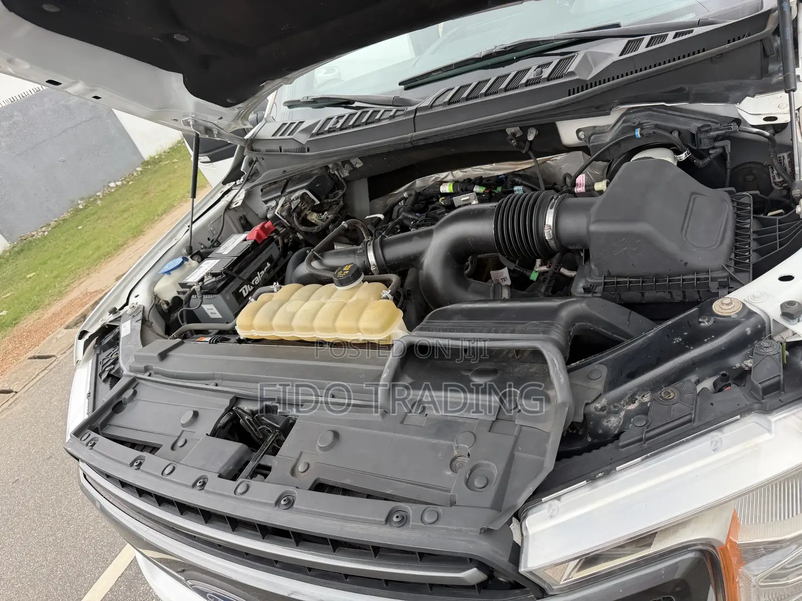 Ford F-150 XLT 4x4 Regular Cab Styleside 8 ft. box 141 in. WB 2019