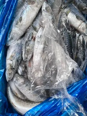 Salmon Fish Box 10kg+ 15kg+ 20kg+