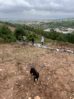 One Plot of Land