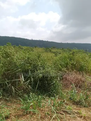 Acres of Lands for Sale at Dawa