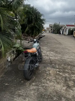 Honda 2010 Green