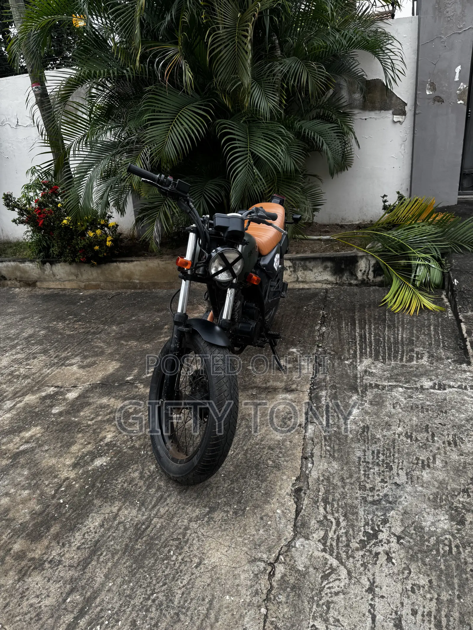 Honda 2010 Green
