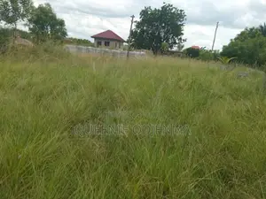 5 Plots  of Land for Sale at Asustuare Junction