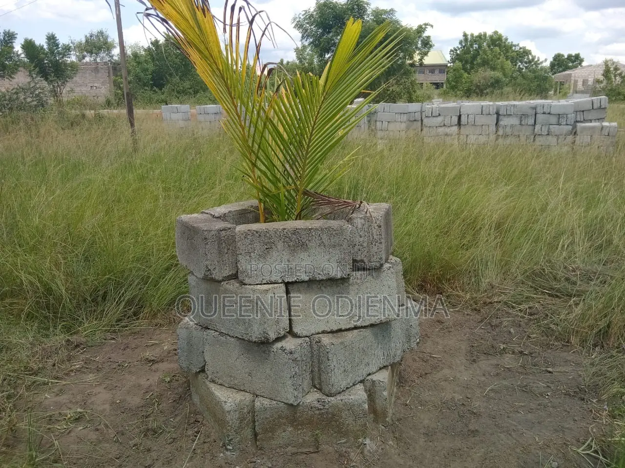 5 Plots  of Land for Sale at Asustuare Junction