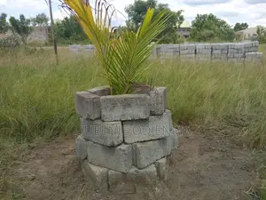 5 Plots  of Land for Sale at Asustuare Junction