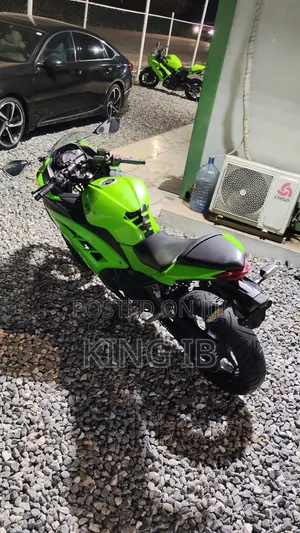 Kawasaki Ninja 300 2018 Green