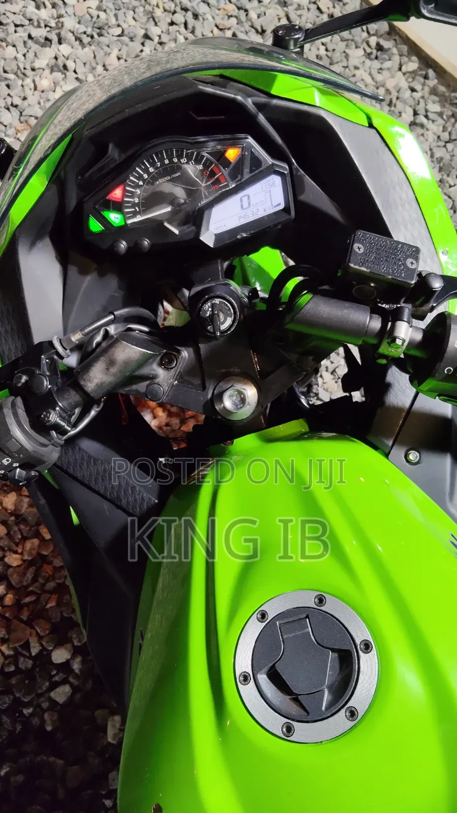 Kawasaki Ninja 300 2018 Green