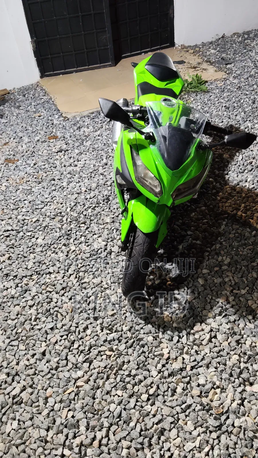 Kawasaki Ninja 300 2018 Green