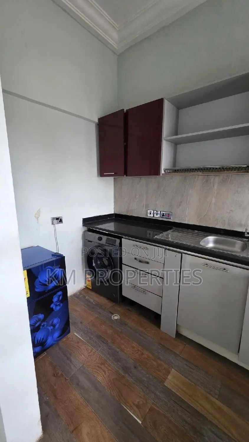 Furnished 1 & 2 Bedroom at Dzorwulu