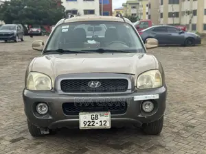 Hyundai Santa Fe LX 4WD 2004 Brown