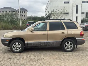 Hyundai Santa Fe LX 4WD 2004 Brown