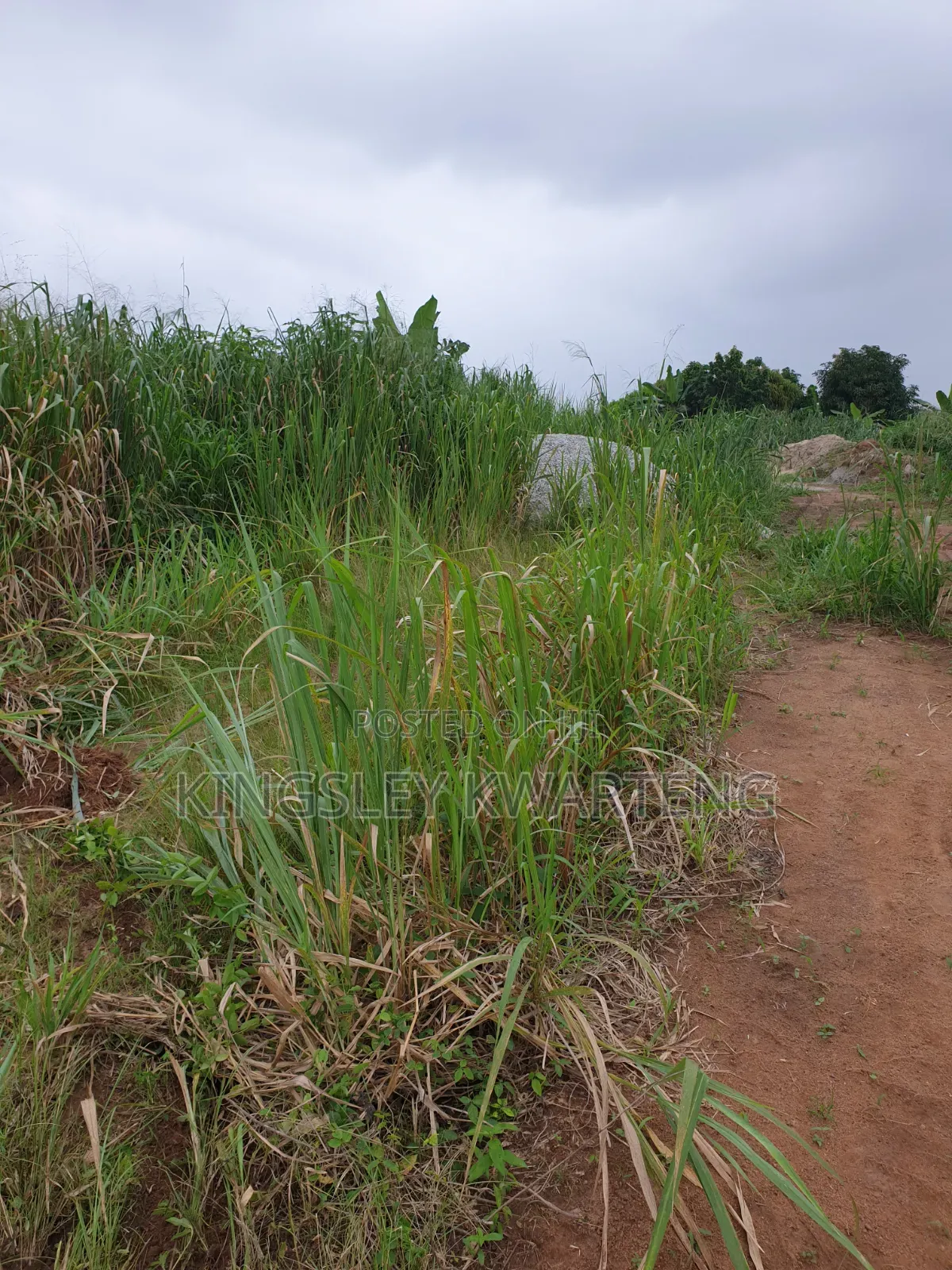 Plot of Land
