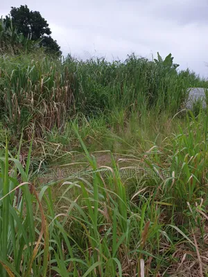 Plot of Land