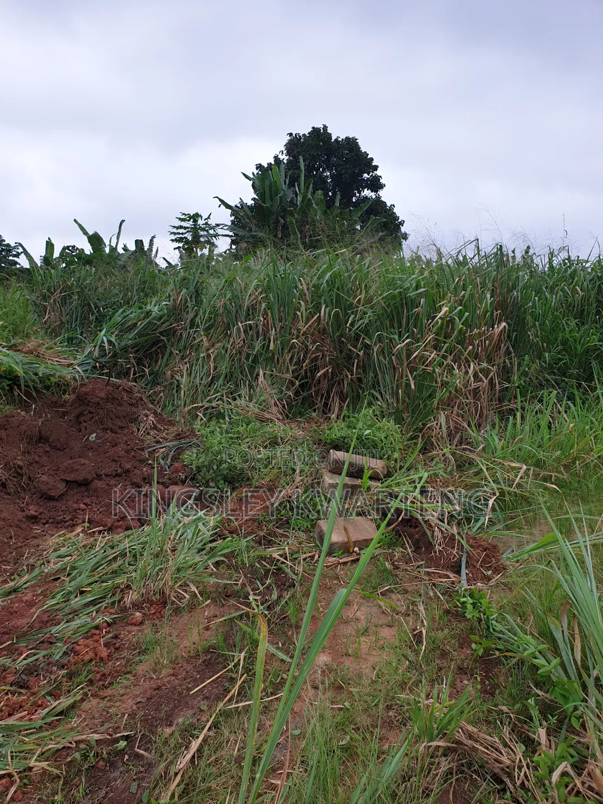 Plot of Land