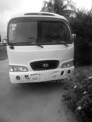 Hyundai County 2012 White