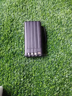 Sadhu Power Bank