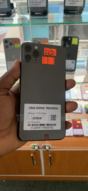 Apple iPhone 11 Pro Max 256 GB Gray