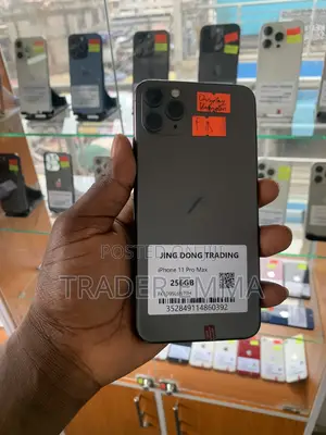 Apple iPhone 11 Pro Max 256 GB Gray