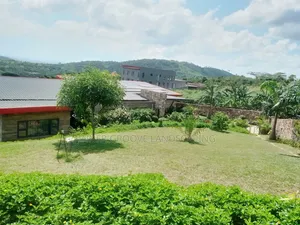 Landscape Design and Construction