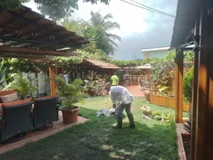 Landscape Design and Construction