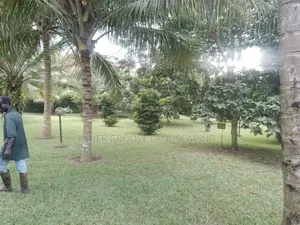 Landscape Design and Construction