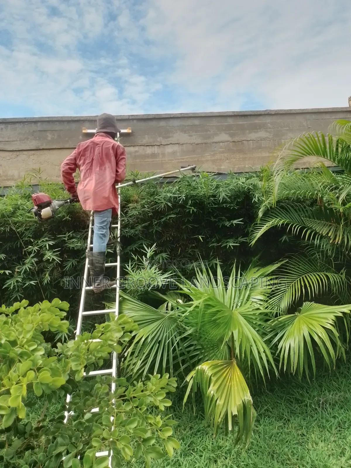 General Landscape Maintenance