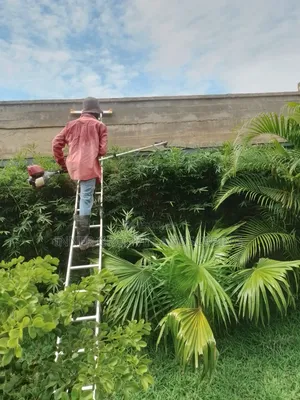 General Landscape Maintenance