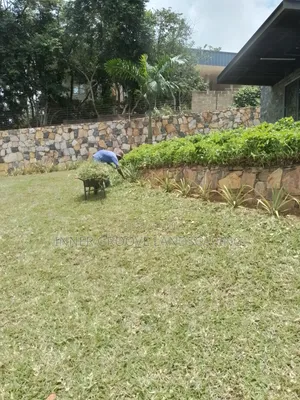 General Landscape Maintenance