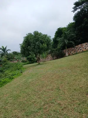General Landscape Maintenance