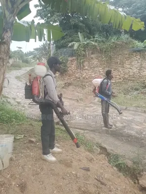 Fumigation