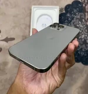 Apple iPhone 16 Pro Max 256 GB Gray